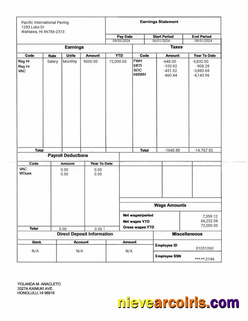 Pacific International Paving earnings statement